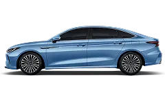 arrizo-1